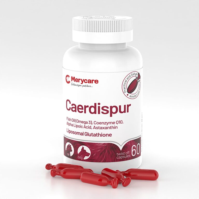 Merycare ferropur
