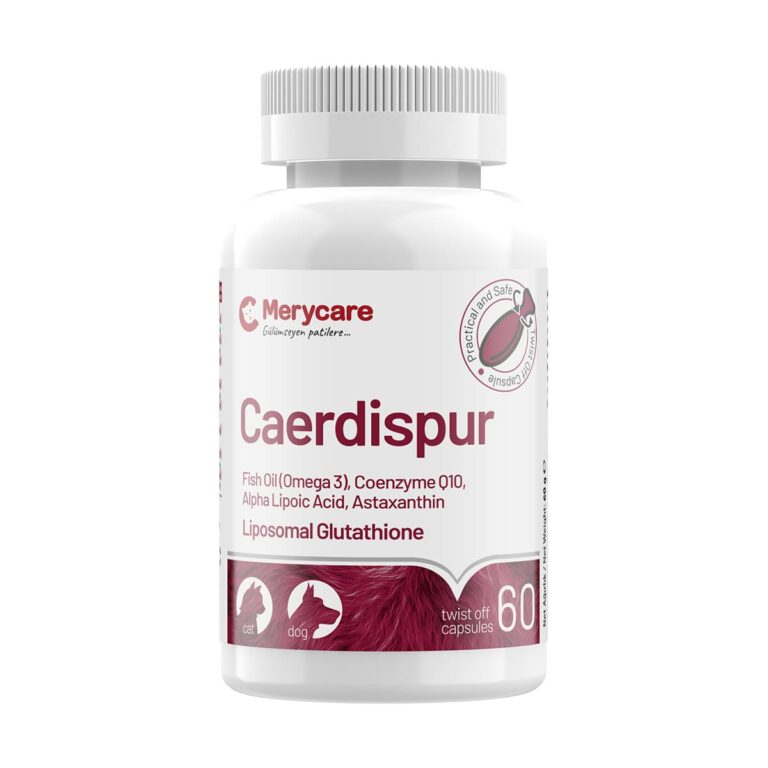 # Merycare FerroPur™ – Advanced Iron, Blood-Building & Vitality Support for Pets: Essential Nutrition for Anemia Treatment A pet exhibiting low energy, persistent lethargy, or weakness may be signaling underlying issues with its blood health. Red blood cells are the crucial carriers of oxygen throughout the body, and when their production or quantity is compromised—a condition commonly known as anemia—the pet's entire system suffers, leading to reduced vitality and poor overall condition. Addressing this requires a specialized and highly bioavailable **blood-building supplement for pets**. **Merycare FerroPur™ – Advanced Iron, Blood-Building & Vitality Support for Pets** is specifically engineered to provide comprehensive nutritional components necessary for hematopoietic (blood-making) processes. By supplying high-bioavailability iron alongside cofactors essential for cell production, Merycare FerroPur™ offers targeted support for **anemia treatment for cats** and dogs and serves as the **best supplement for dog anemia** by restoring healthy blood parameters. ## Understanding Anemia in Pets and the Need for Targeted Nutrition Anemia is a medical diagnosis defined by a reduced number of red blood cells or insufficient hemoglobin, resulting in decreased oxygen-carrying capacity. While severe anemia requires veterinary diagnosis and intervention, supporting the body's ability to produce healthy, oxygen-rich blood cells is fundamental to recovery. ### How to Increase Red Blood Cells in Cats and Dogs The production of red blood cells (erythropoiesis) relies on a complex mix of minerals and vitamins. Deficiencies in core nutrients like iron, Vitamin B12, and folic acid can inhibit the marrow's ability to manufacture healthy blood cells. Effective **nutrition for anemic pets** focuses on overcoming these nutritional bottlenecks. Merycare FerroPur™ directly tackles these deficiencies by providing the necessary building blocks in forms that ensure maximum absorption and minimize digestive irritation, establishing it as a highly effective **Merycare anemia treatment** support. ## Merycare FerroPur™: A Clinically Tested Anemia Support Formula Merycare FerroPur™ is delivered in a bottle of 60 **Twist-off Softgel Capsules**, a method designed to preserve the integrity and effectiveness of the ingredients by protecting them from light and temperature changes, while offering clean, safe administration. The formula is a powerful blend of bioavailable iron, specialized proteins, vitamins, and botanical enhancers designed to function as a complete **pet blood booster supplement**. ### 1. Advanced Iron Absorption: Safety and Bioavailability Traditional iron supplements can often cause digestive upset, which is poorly tolerated by weakened pets. Merycare FerroPur™ overcomes this challenge using a superior form of iron, making it a **safe iron supplement for dogs** and cats. * **Iron Bisglycinate Chelate (FE):** This form of iron provides **fast and safe iron absorption** due to its high bioavailability. Crucially, Iron Bisglycinate Chelate supports the **anemia treatment for cats** and dogs **without irritating the stomach**. * **Lactoferrin:** This specialized glycoprotein works synergistically with iron. Lactoferrin, a protein with a strong iron-binding ability, ensures better iron absorption in the body. By supporting the efficient absorption and utilization of iron, Lactoferrin supports **red blood cell production** and increases the body's **oxygen carrying capacity**, which is key to restoring vitality and maintaining high energy levels. It also strengthens the immune system through its strong antimicrobial properties. ### 2. Essential Vitamins for Blood Health Iron is only one component; red blood cell formation requires a host of cofactors, particularly B vitamins. Merycare FerroPur™ includes a comprehensive blend of **best vitamins for blood health in pets** to support complete hematopoietic function. * **Vitamin B12 (Metilkobalamin):** The formula includes Metilkobalamin, serving as the necessary **vitamin B12 supplement for dogs** and cats for healthy blood formation. * **Folic Acid (Vitamin B9):** Included in the formula, Folic Acid is essential for cell division and the production of red blood cells. * **Vitamin C (Ascorbic Acid):** This vitamin is known to increase iron absorption and supports overall cellular health. * **Other B Vitamins:** The formula contains Riboflavin (Vitamin B2), Pyridoxine HCl (Vitamin B6), and Biotin (Vitamin B7), all contributing to healthy metabolism and overall vitality. * **Dicalcium Phosphate:** Beyond blood support, this mineral strengthens **bone and dental health**, supports muscle functions, and increases general health and energy levels. ### 3. Natural Blood Boosters and Antioxidant Support To maximize the effects of the core nutrients and provide an overall **natural blood booster for pets**, Merycare FerroPur™ incorporates powerful botanical extracts. * **Carob Extract (Keçiboynuzu Özü Ekstresi):** Recognized as a **natural source of iron**, Carob Extract increases iron absorption in the body and elevates energy levels. * **Grape Seed Shell Extract (Üzüm Kabuğu Ektresi):** This extract supports iron absorption due to its powerful antioxidant effect. It also protects cell health and helps delay the effects of aging. * **Lecithin:** Included as a powerful antioxidant, Lecithin helps repair cell membranes and increases vitamin absorption, supporting overall body health. This combination of highly absorbable iron, crucial B vitamins, and natural enhancers establishes Merycare FerroPur™ as a comprehensive strategy for **how to increase red blood cells in cats** and dogs and provide robust **Merycare blood health support**. ## E.E.A.T. Assurance: Trustworthy and Vet-Recommended Anemia Supplement When managing critical health conditions like anemia, product quality, manufacturing standards, and the expertise behind the formulation are paramount. The Merycare brand, manufactured by Doğadan İlaç, adheres to strict quality controls to ensure a reliable and effective product. ### Expertise and Manufacturing Trust Doğadan İlaç manufactures complementary feed and nutritional supplements using select raw materials and advanced production technology, prioritizing pet health. Merycare products are categorized within the "V E T E R I N A R I A N S E R I E S". * **Clinically Tested Anemia Support Quality:** The manufacturing processes are subject to rigorous standards, including **ISO 22716:2013 GMP (Good Manufacturing Practices)**, ensuring consistency and high quality in production. The facility also adheres to ISO 22000:2018 (Food Safety Management System) and HACCP (Hazard Analysis Critical Control Point), guaranteeing that Merycare supplements meet high safety and quality benchmarks. These certifications reinforce Merycare’s position as a provider of supplements whose quality is suitable to be a **vet-recommended anemia supplement**. ### Innovative Twist-Off Softgel Capsules The delivery system of Merycare FerroPur™ is designed for superior performance and user convenience. The use of the Twist-off Softgel Capsule format ensures high accuracy and effectiveness by protecting the contents, including sensitive iron and vitamins, from temperature and light changes, which increases freshness. This format provides a purer and more effective product with a correct, pre-measured dosage, minimizing the use of preservatives. The softgels are also environmentally conscious, made with eco-friendly and biodegradable bovine gelatin. ## Practical Application: Dosing and Integration Merycare FerroPur™ is intended to provide nutritional support for iron and blood-building requirements in both cats and dogs. * **Dosage:** The recommended use is one capsule per day for cats, and one capsule per day for every 5 kg of body weight for dogs. * **Administration:** To administer, the pet owner should bend or cut the capsule tip and mix the ingredients directly with the pet's food. It is crucial that the pet always has access to fresh drinking water. By providing this consistent and highly absorbable nutritional support, Merycare FerroPur™ aids the body during periods of recovery or chronic deficiency, promoting cell renewal, boosting energy levels, and helping the body perform its essential function of oxygen transport. ## Conclusion: Merycare FerroPur™ for Enhanced Vitality Anemia and low vitality are serious issues that require prompt attention and effective nutritional support. Merycare FerroPur™ offers an advanced solution, utilizing highly bioavailable ingredients like **Iron Bisglycinate** and **Lactoferrin** to ensure maximum absorption and efficacy without stomach irritation, making it a **safe iron supplement for dogs** and the foundation of **anemia treatment for cats**. By delivering a comprehensive complex of cofactors—including **vitamin B12 supplement for dogs** and other crucial B vitamins, antioxidants like Grape Seed Shell Extract, and natural energy sources like Carob Extract—Merycare FerroPur™ is expertly formulated for **how to increase red blood cells in cats** and dogs, supporting a rapid return to health and high energy. The quality assurance, verified by **GMP-certified** production standards and the innovative delivery of the **Merycare blood health support** system, ensures pet owners are giving their companions the **best supplement for dog anemia** and overall vitality. Merycare FerroPur™ functions much like an optimized supply chain for the body; it ensures that the raw materials (**safe iron supplement for dogs**, vitamins, cofactors) reach the "factory" (the bone marrow) efficiently and safely, allowing the body to rapidly ramp up production of high-quality, oxygen-carrying red blood cells needed for peak performance and vitality.