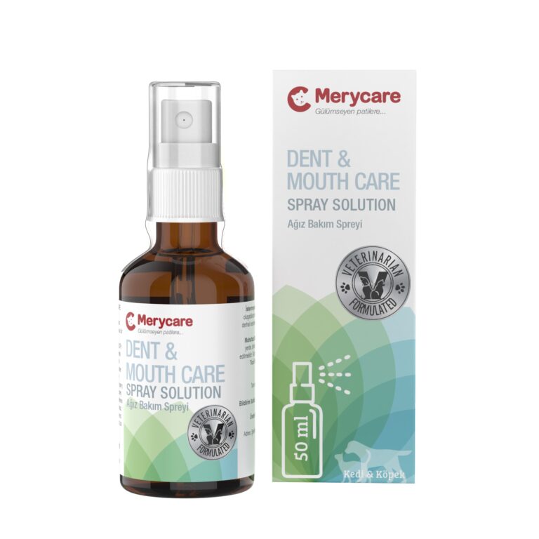 merycare dental & mouth
