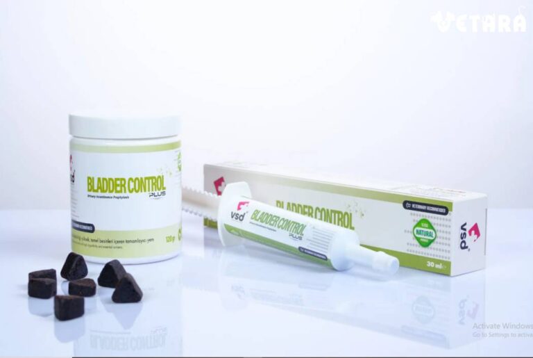 BladderControl VSD